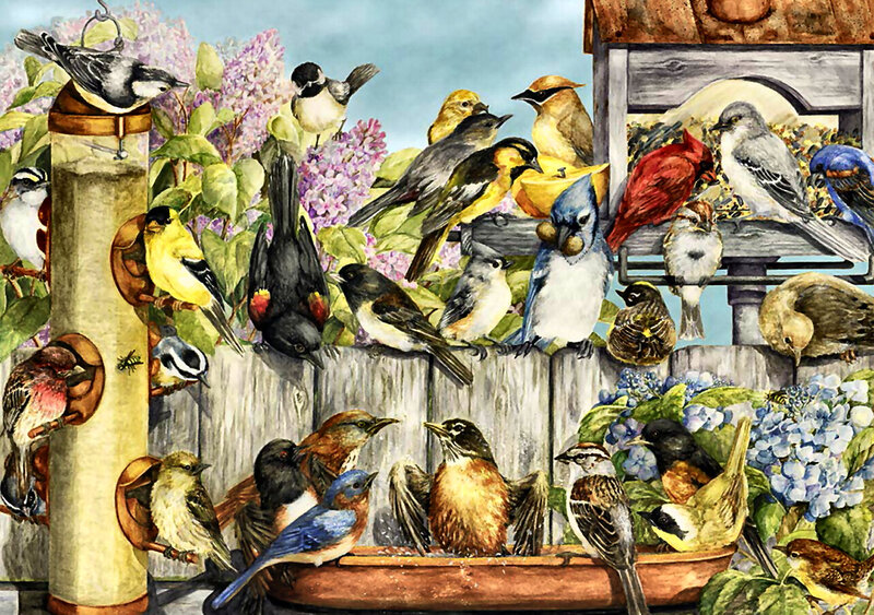 Birds at Bird Feeders — Blue, Lively