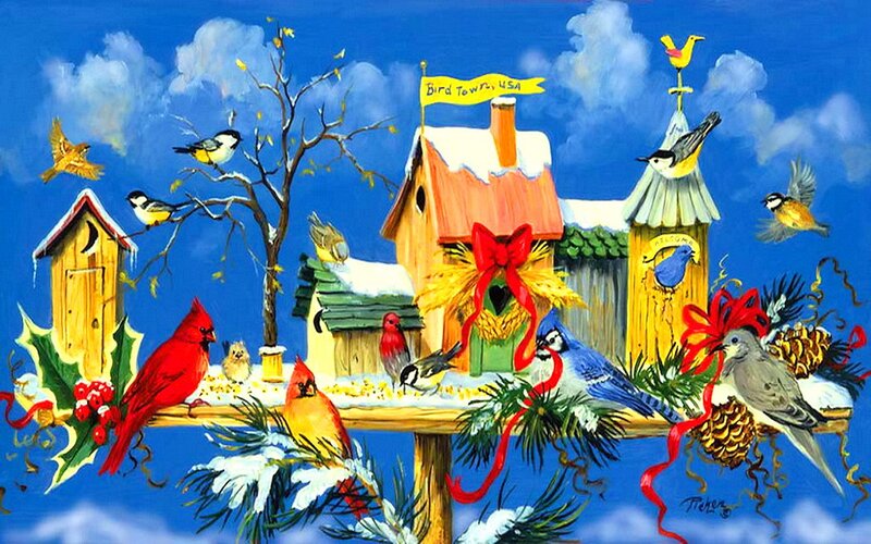Birds at Bird Feeders — Blue