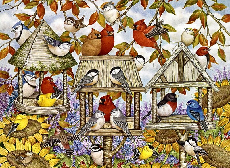 Birds at Bird Feeders — Yellow