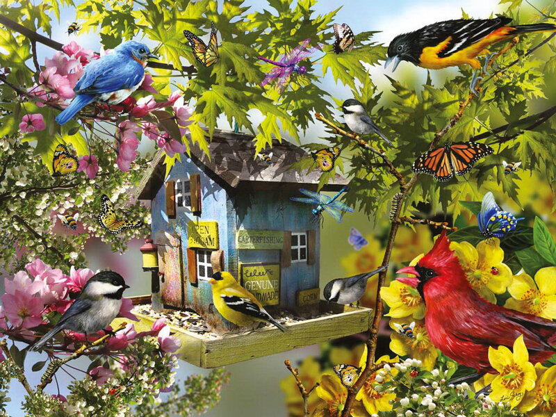 Birds at Birdhouse — Blue, Vibrant, Spring
