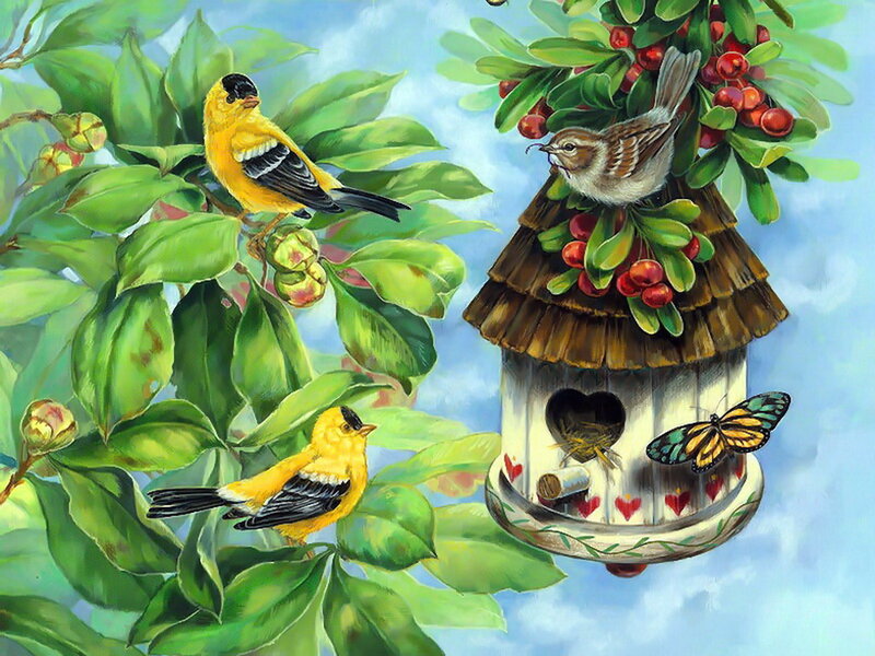 Birds at Birdhouse — Green, Serene