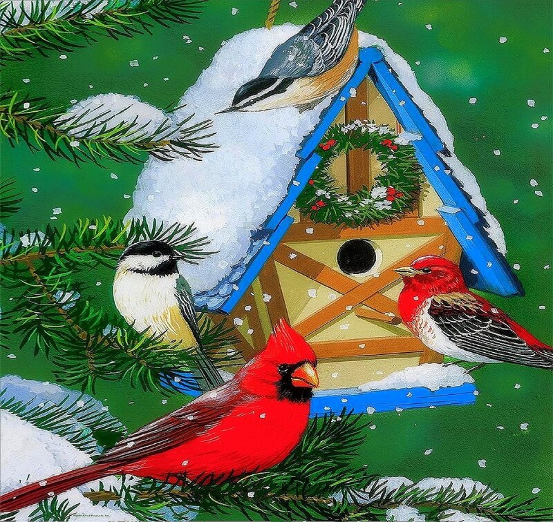 Birds at Birdhouse in Snow — Green