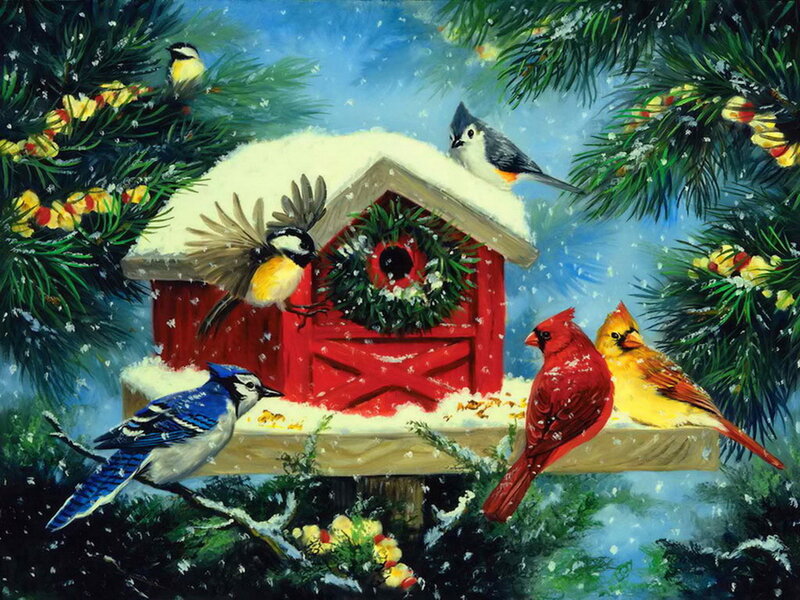 Birds at Birdhouse in Snow — Red, Peaceful