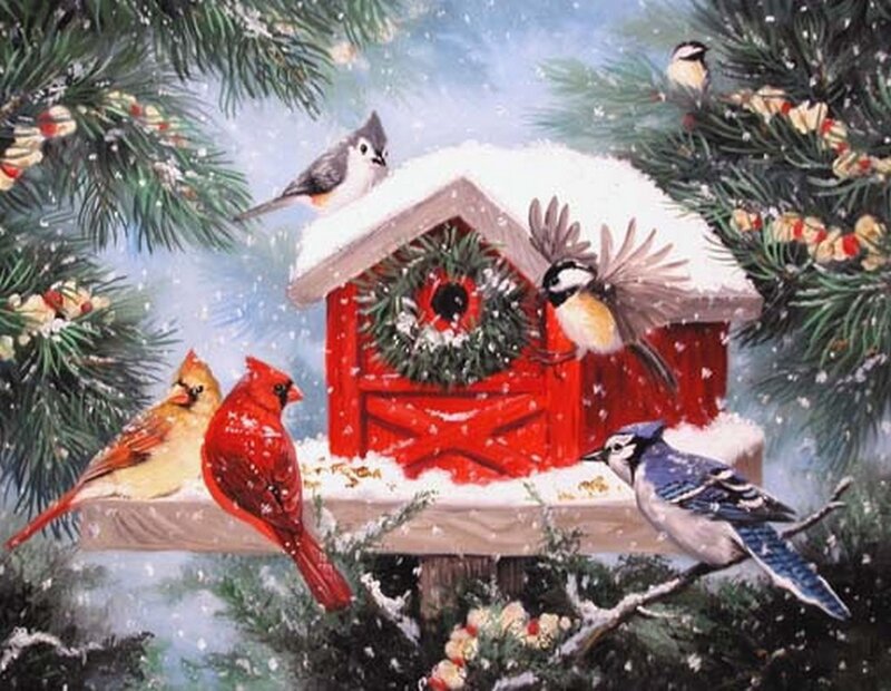 Birds at Birdhouse in Snow — Red