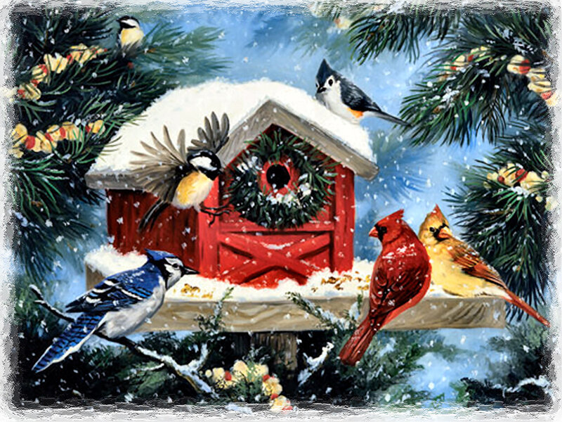 Birds at Birdhouse in Snow