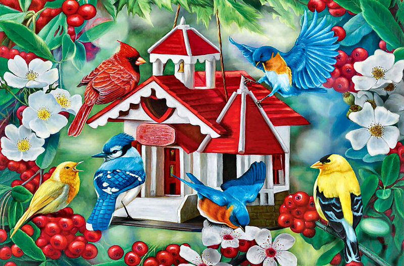 Birds at Birdhouse — Red, Colorful