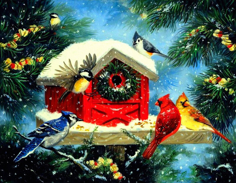 Birds at Birdhouse — Red, Festive