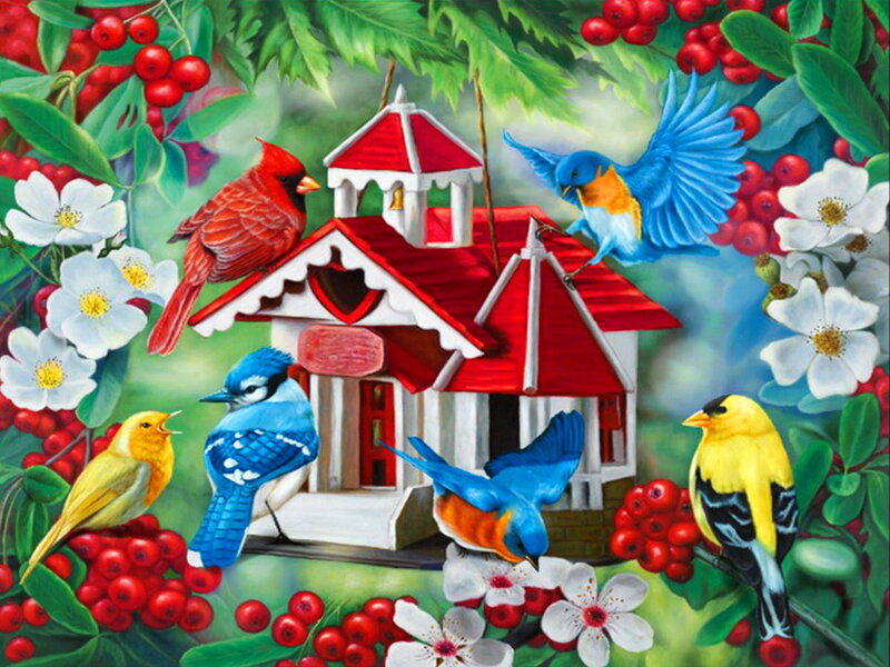 Birds at Birdhouse — Red