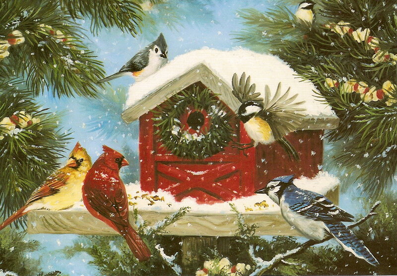 Birds at Birdhouse