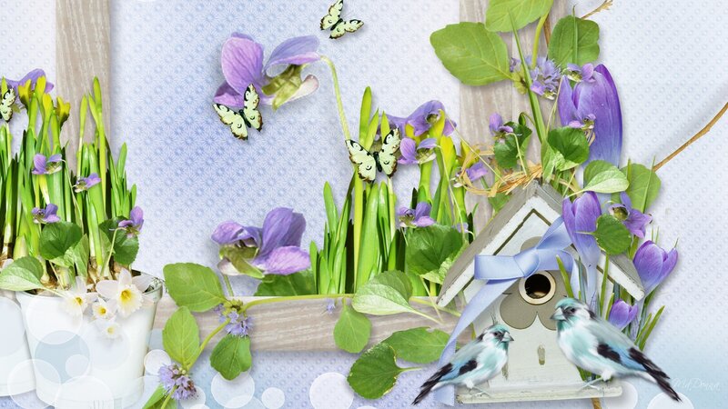 Birds at Birdhouse with Flowers