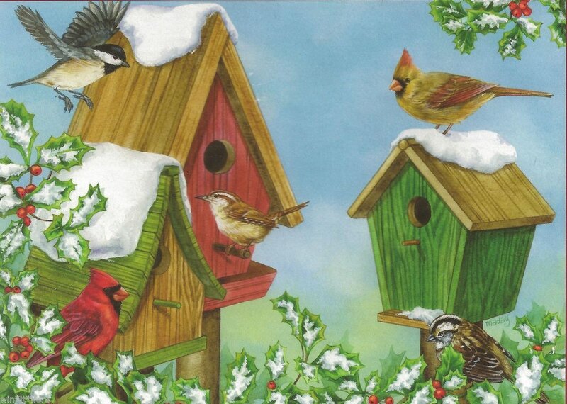 Birds at Birdhouses
