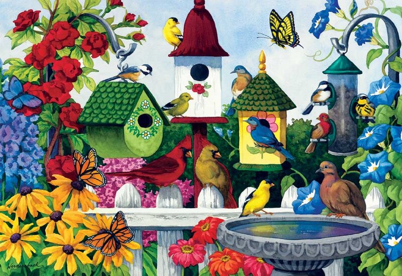 Birds at Garden Feeders