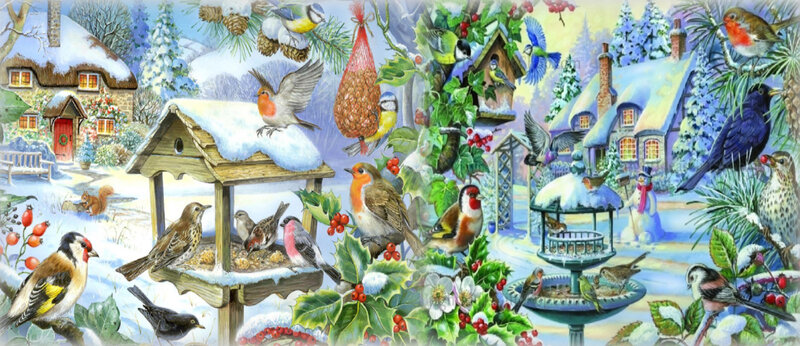 Birds at Winter Feeders