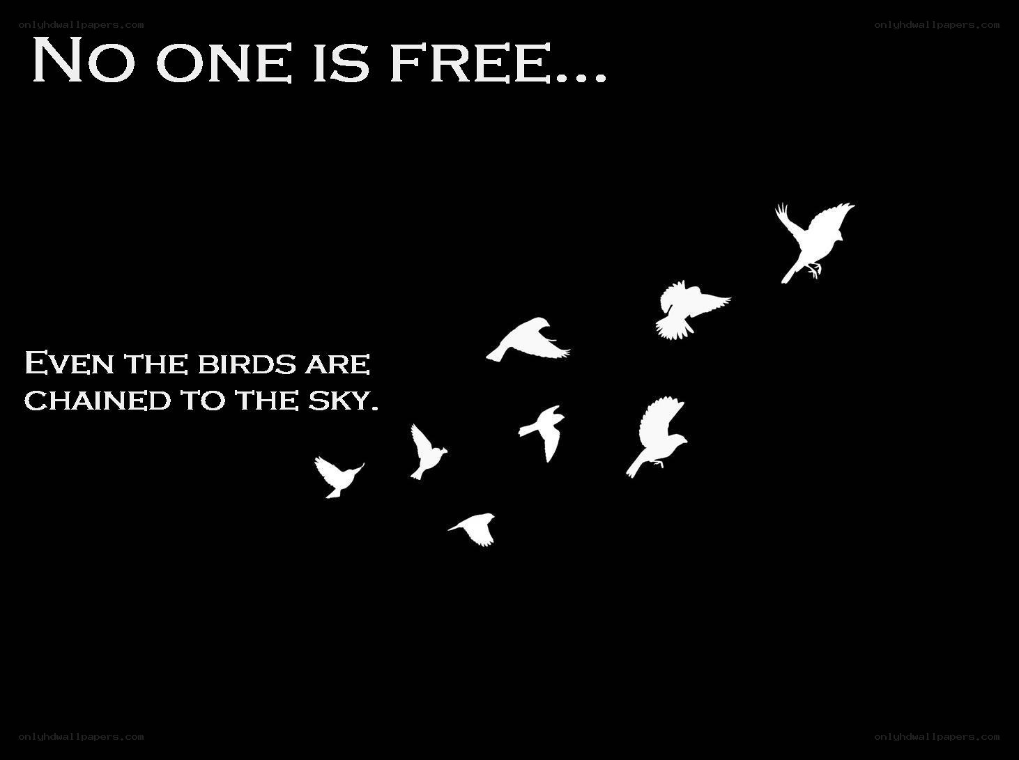 birds chained to sky