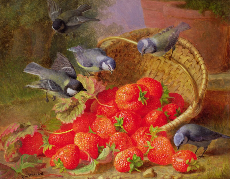 Birds Eating Strawberries