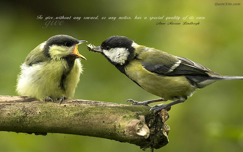 Birds feeding on a branch
