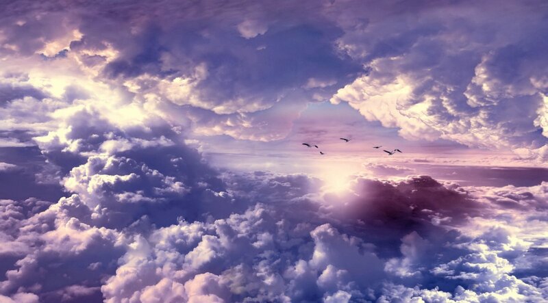 Birds Flying Above Clouds — Purple