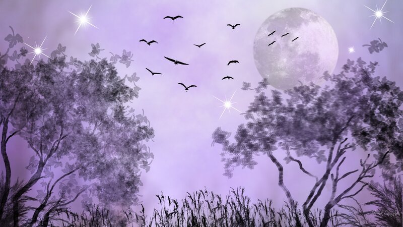 Birds Flying at Night — Purple