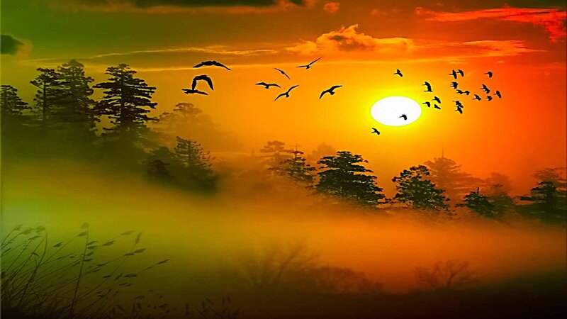 Birds Flying at Sunrise — Orange