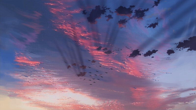 birds flying at sunset