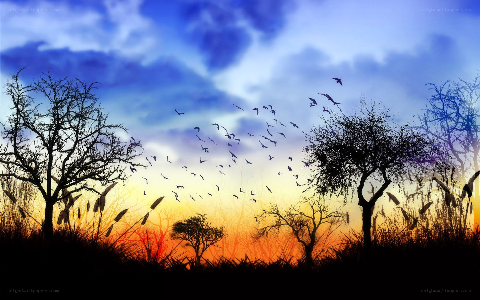 Birds flying at sunset
