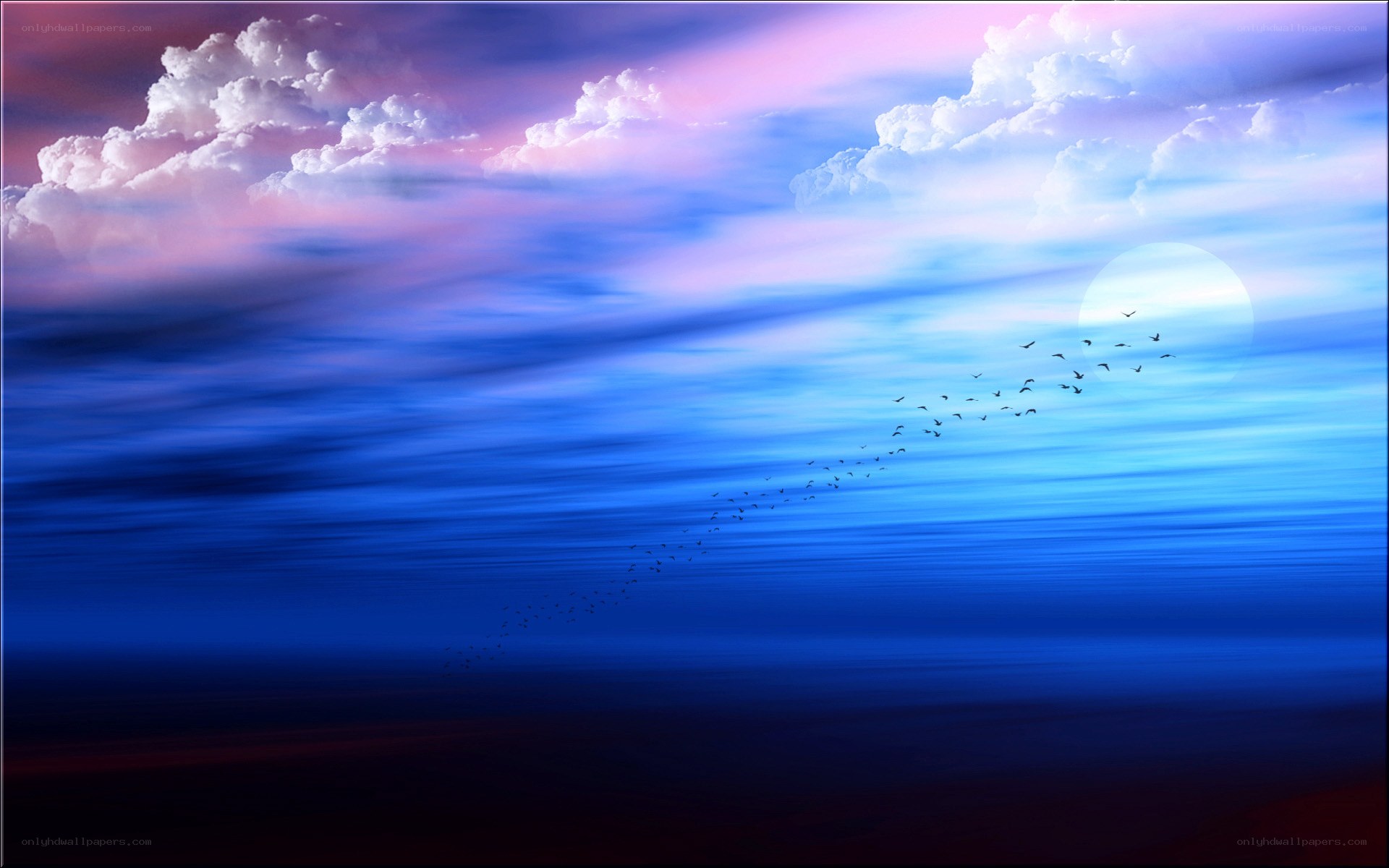 Birds flying at sunset