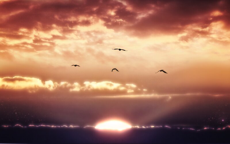 Birds Flying at Sunset — Orange, Dramatic, Digital Art