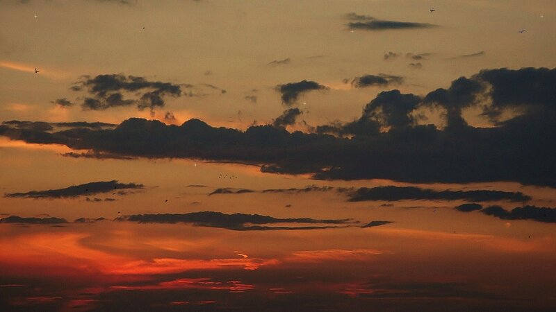 Birds Flying at Sunset — Orange, Dramatic, Photograph