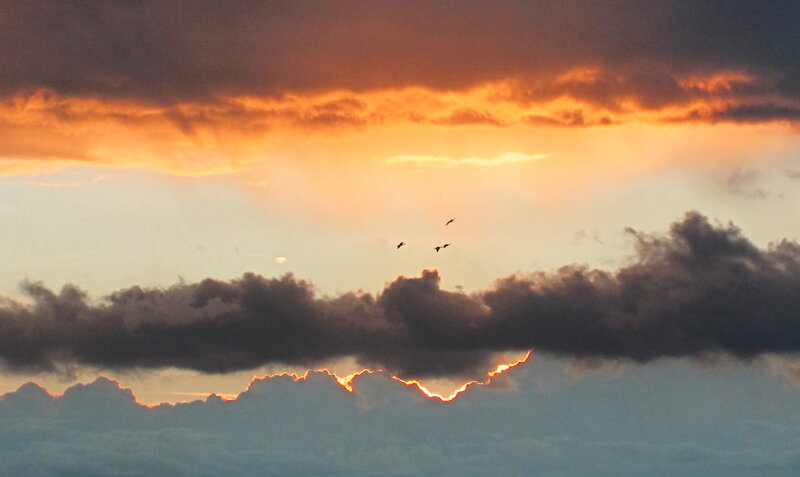 Birds Flying at Sunset — Orange, Dramatic