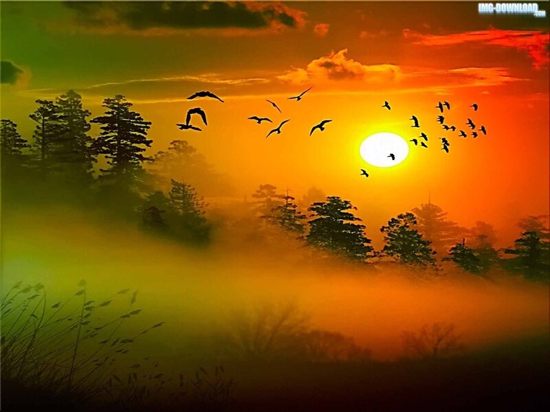 Birds Flying at Sunset — Orange, Serene, Digital Art
