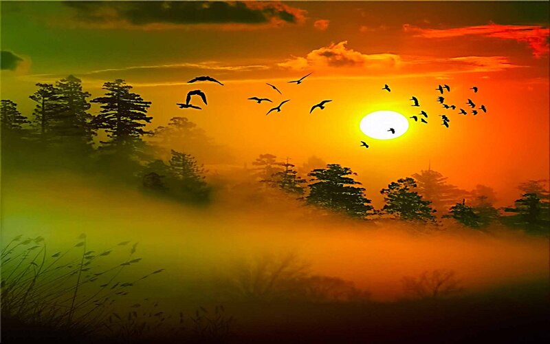 Birds Flying at Sunset — Orange, Serene, Digital Art, Trees