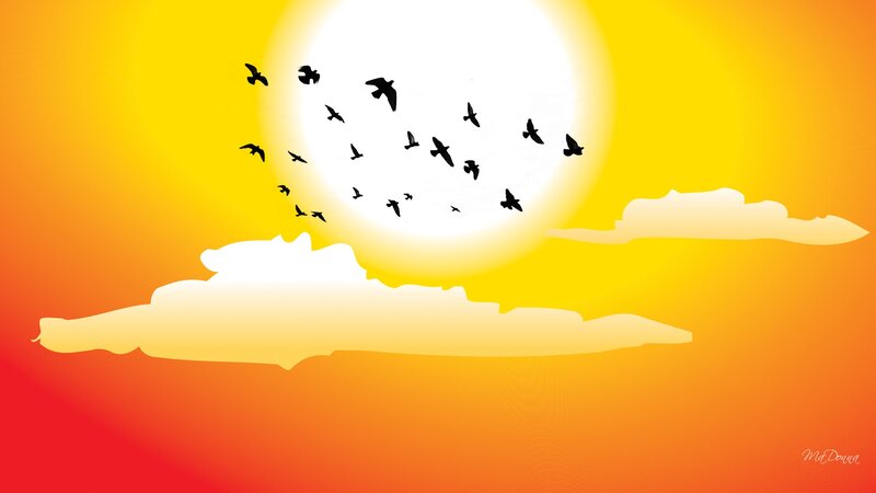 Birds Flying at Sunset — Yellow