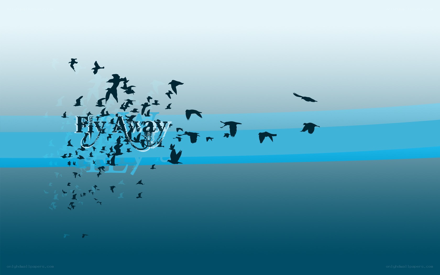 birds flying away