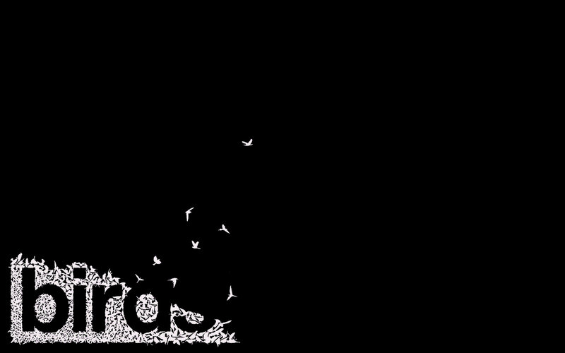 birds flying from text