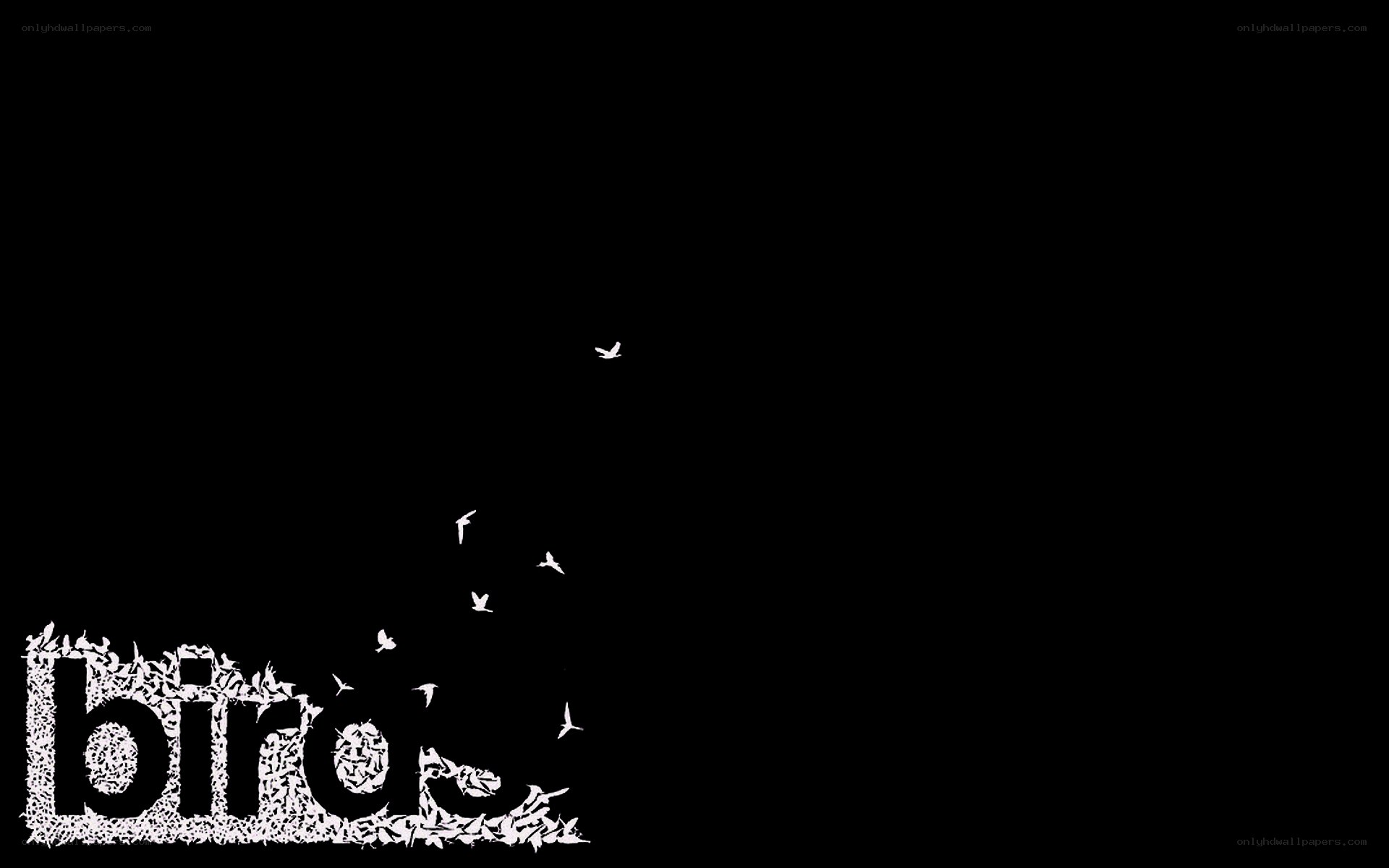 birds flying from text
