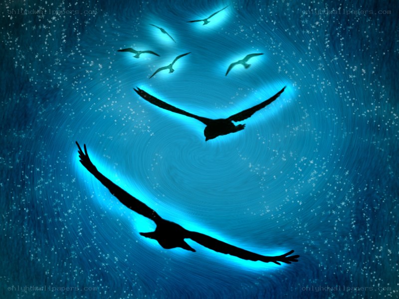 birds flying in a starry sky