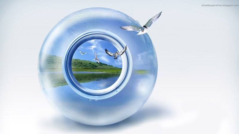 Birds Flying in Bubble