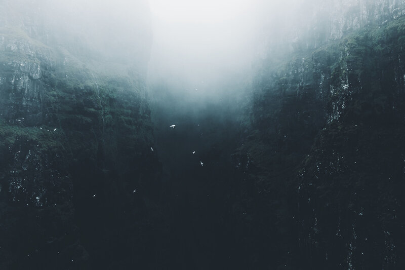 Birds Flying in Canyon — Green