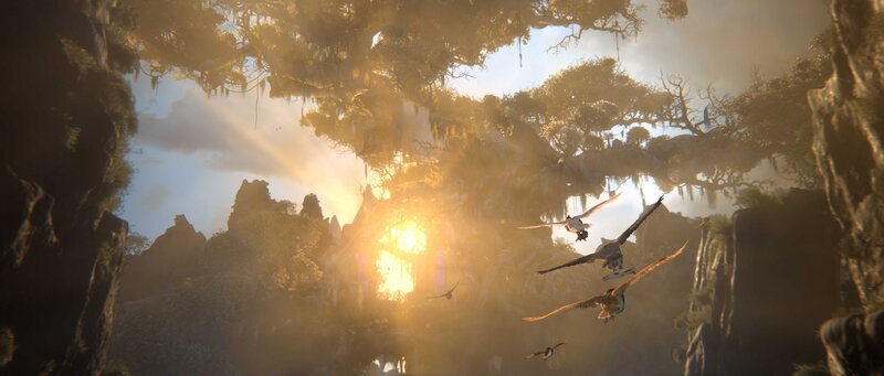 Birds Flying in Canyon
