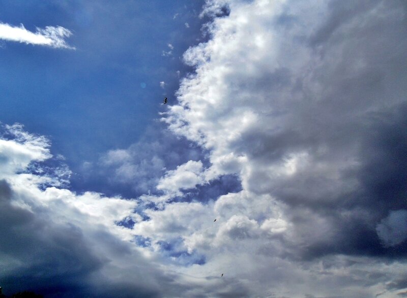 Birds Flying in Cloudy Sky — Blue