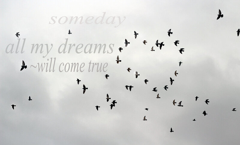 Birds Flying in Sky — Gray