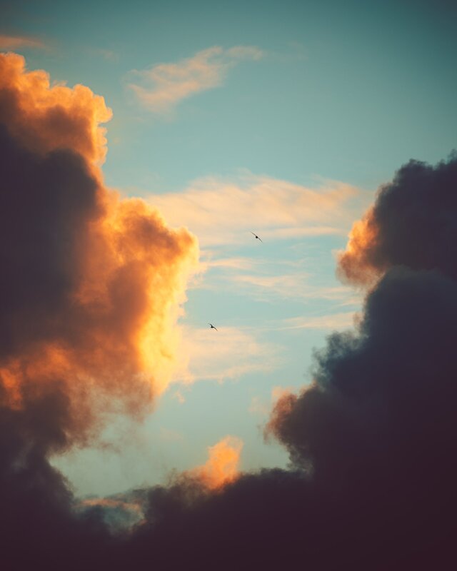 Birds Flying in Sky — Orange, Dramatic, Sunset, Photograph, Clouds, Bird