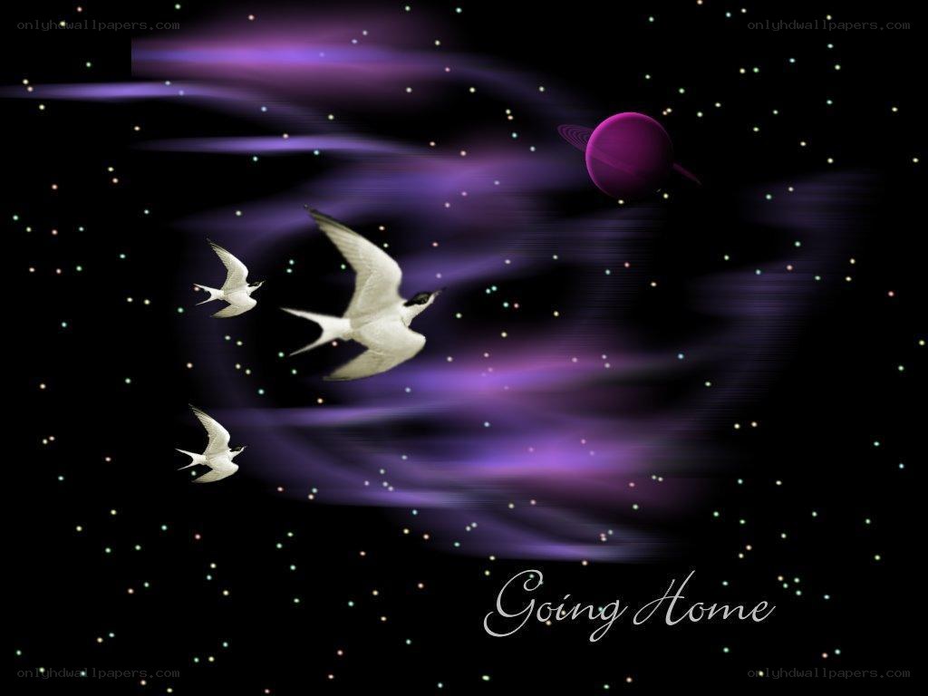 Birds Flying in Space