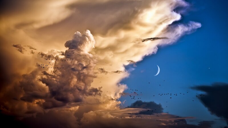 Birds Flying in Stormy Sky — Blue, Dramatic, Night, Photograph, Clouds, Moon, Stars