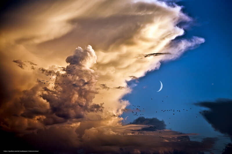 Birds Flying in Stormy Sky — Blue, Dramatic, Night