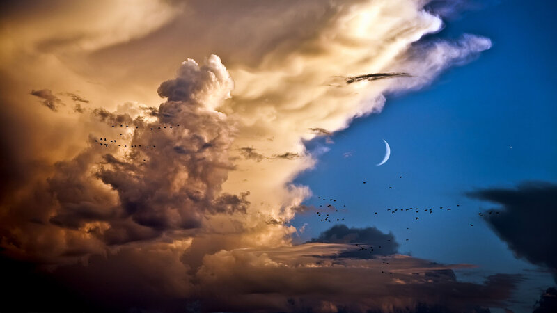 Birds Flying in Stormy Sky — Blue, Dramatic