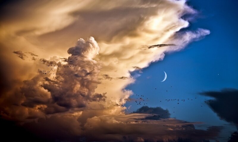 Birds Flying in Stormy Sky — Blue
