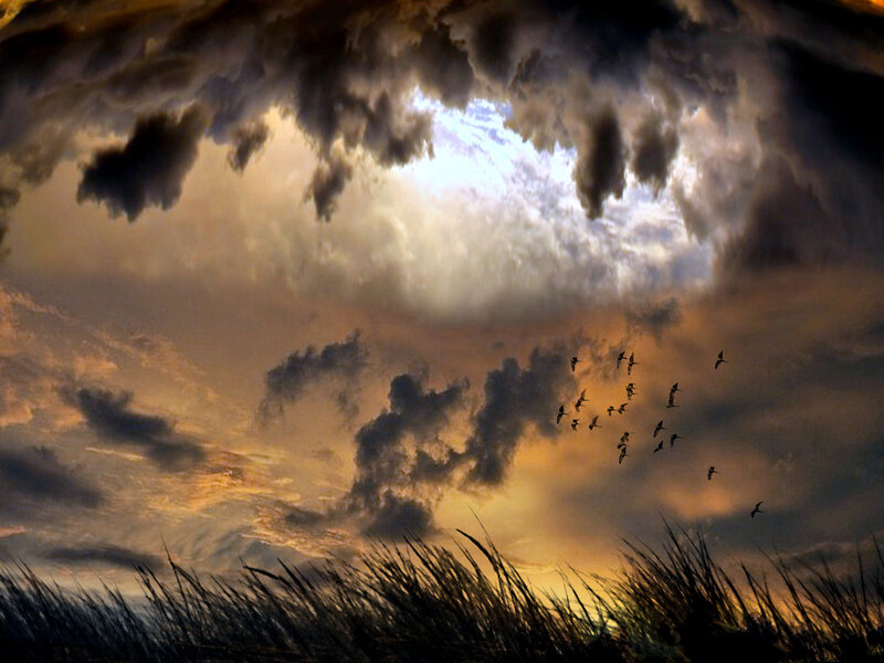 Birds Flying in Stormy Sky — Gray