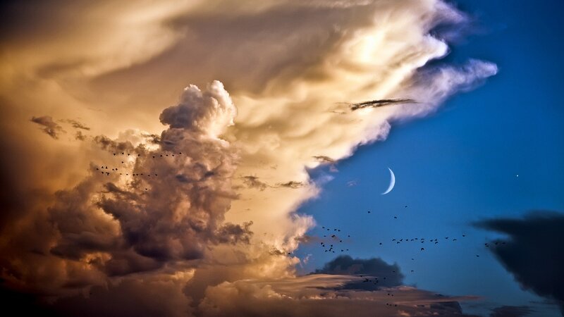 Birds Flying in Stormy Sky — Night