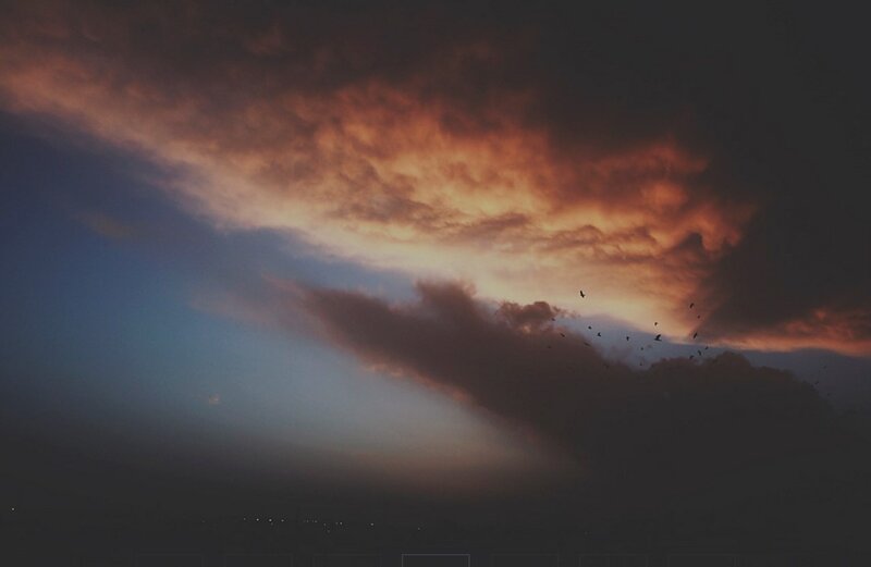 Birds Flying in Sunset Sky — Orange, Dramatic